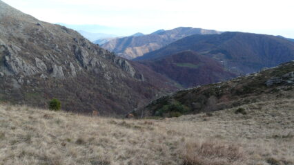 Verso Suppo