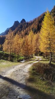 Spettacolo d'autunno