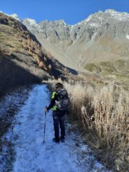 Tratti con brina gelata.