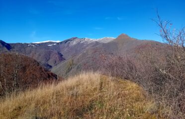 vista sul Monte Tagliarè e Alpe di Rittana