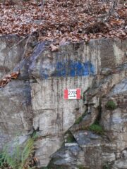 Scendendo sulla poderale.