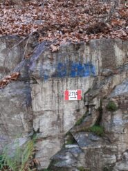 Scendendo sulla poderale.