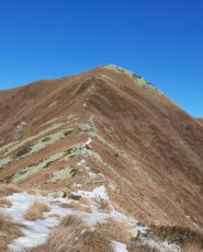 la cresta dalla Punta della Merla all'Aquila