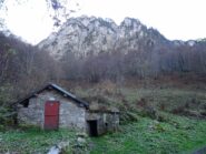 gias degli Arpi