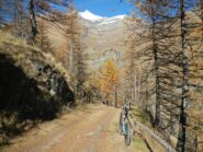 il bel vallone verso l'Alpe Arcella