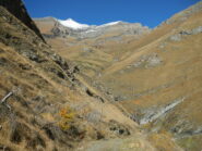 il valloncello in cui nasce e scorre il Rio Rocciamelone