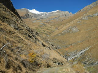 il valloncello in cui nasce e scorre il Rio Rocciamelone