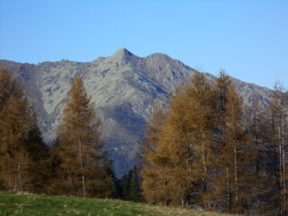 Lei non può mancare