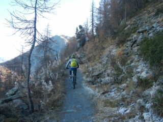 la mulattiera verso il Colle della Croce