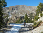 Monte Vin Vert sullo sfondo