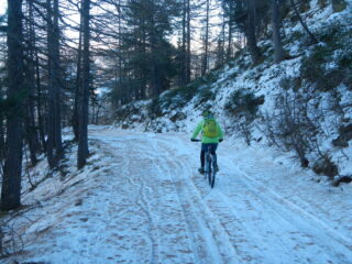 discesa divertente sul fondo innevato