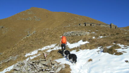 All'Alpe Vaccarezza superiore, con i nostri amici a 4 zampe...