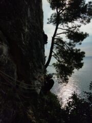 Classica partenza dal vecchio pino