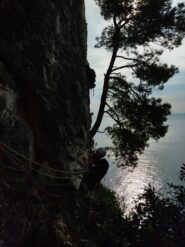 Classica partenza dal vecchio pino