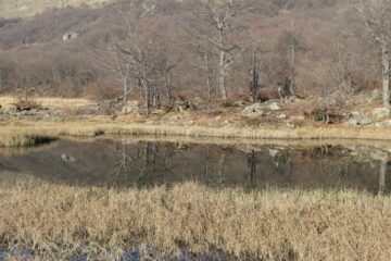 laghetto pian delle Mutte