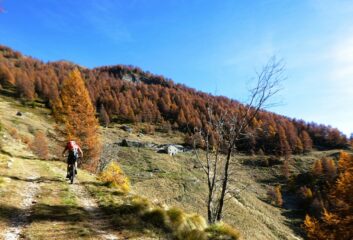 In vista dell'Alpe