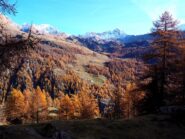 Scendendo uno sguardo verso il vallone che sale al Colle di Cussuna.