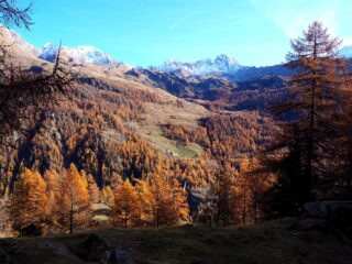 Scendendo uno sguardo verso il vallone che sale al Colle di Cussuna.