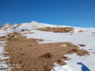 da quota 1900m tanta erba