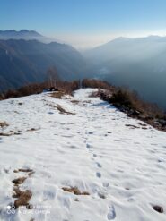 sulla prima parte della dorsale, sul fondo si intravede la via diretta all'uscita dal bosco