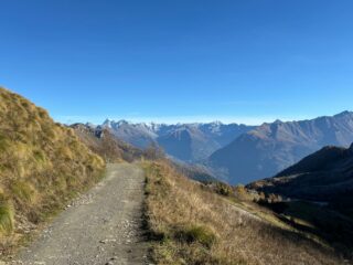 Passo Campelli: strada sulla sx e si apre il panorama sull'Adamello 