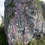 In viola, gradi generosi.