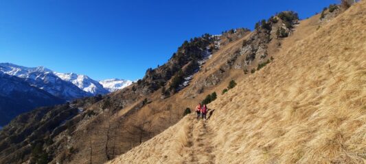 Sui ripidi traversi in alto