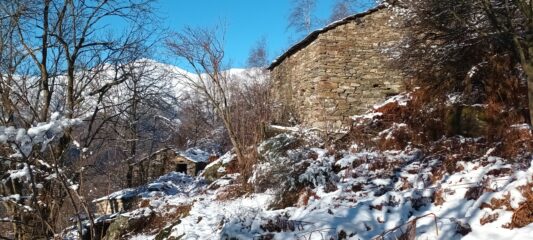 Alpe Losera