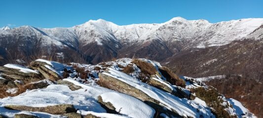 Testa Brusà