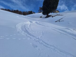 Ancora polvere sotto Champchenille