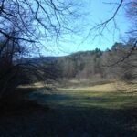 Il vallone del rio Muschieto