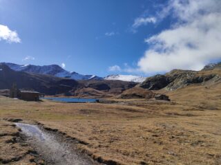 Lago miserin