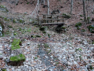 Al ritorno , verso Mogliasso