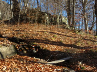 Mogliasso
