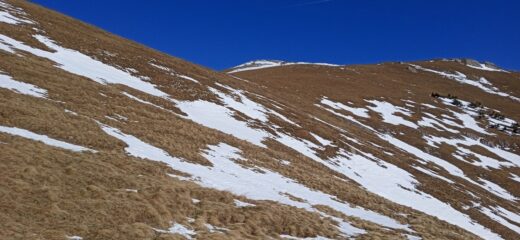 Salita diretta alla Cima Ciuaiera 