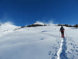 Ultimo tratto di salita, con alpeggio in vista