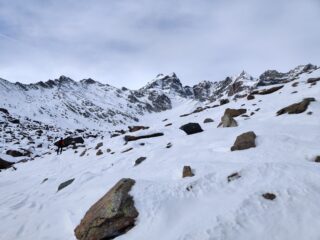 Salendo in mezzo alle pietraie