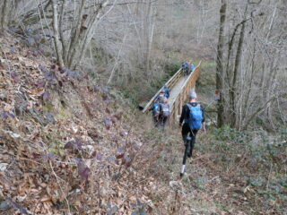 Ponte sul Tessuolo tra Leitisetto e Saccona