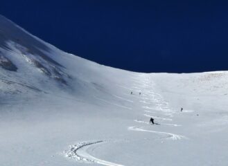 Farinella rara e preziosa...