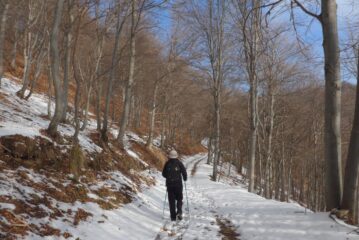 Salendo sulla sterrata per il colle Colletto
