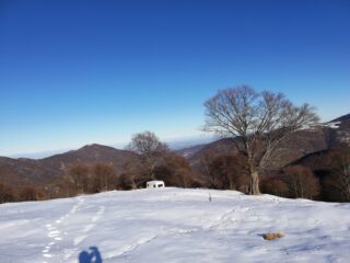 Roulotte nei pascoli