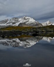 Il Gran Paradiso si rispecchia in un laghetto sotto Pian Borgnoz