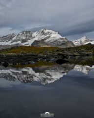 Il Gran Paradiso si rispecchia in un laghetto sotto Pian Borgnoz