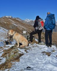 In vetta ammirando il Gran Paradiso