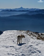 Monviso dalla crestina terminale