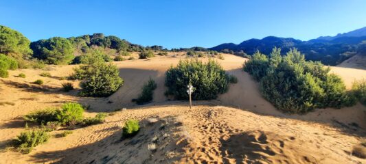 Complesso ducale di San Nicolò sorto a centinaia di metri dal mare