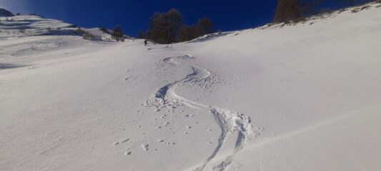 Qualità neve superiore alle aspettative