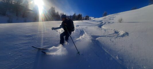 Bella farina prima di entrare nel bosco