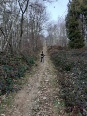 Rientro, parte finale.