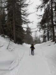 Salendo sulla poderale.